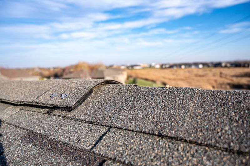Asphalt Roof Repair detail
