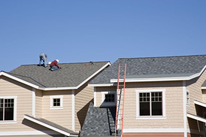 Asphalt Roof Repair detail