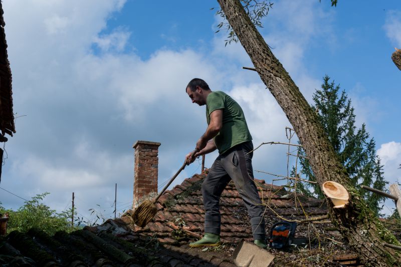 Damaged Roof Repair detail