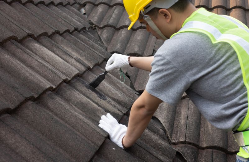Roof Leak Detection Service detail