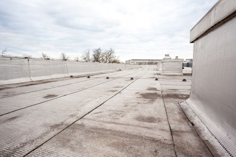 Tpo Roof Coating Service